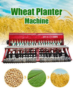 Equipo agrícola sembradora de maíz de trigo y fertilizante sembradora de maíz máquina de siembra de trigo - Product Image 2