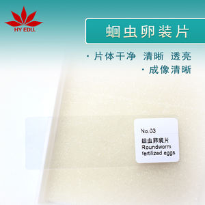 개별 슬라이드 <span class=keywords><strong>Ascaris</strong></span> lumbricoides 계란 기생충 준비 슬라이드 - Product Image 5