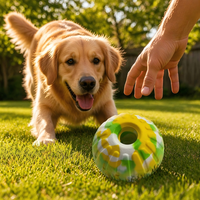 Balle à mâcher flottante pour chien en mousse EVA légère, écologique, classique, mignonne et luxueuse, personnalisable en gros par LY Factory, petite taille