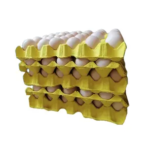 Emballage de pâte moulée 30 plateaux d'oeufs de poulet carton