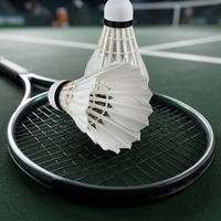 Volant de badminton d'entraînement Lingshang LS200 en plumes d'oie et de canard de haute qualité, super durable et écologique pour club