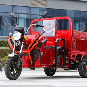 Sepeda motor 3 roda untuk sepeda bensin CL pengiriman kargo Pickup Express pengiriman roda tiga mobil listrik
