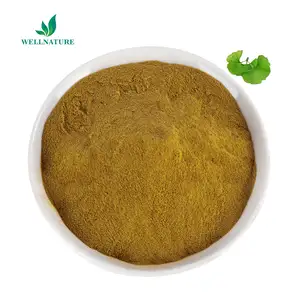 Water Soluble Ginkgo Biloba Folium Extract Ginkgo Biloba Leaves Extract Powder