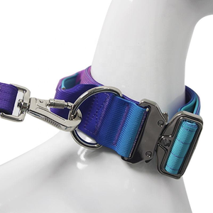 Özelleştirilmiş lüks moda naylon geniş köpek tasması kravat boya degrade renk 5CM yakın kontrol taktik yaka - Product Image 3