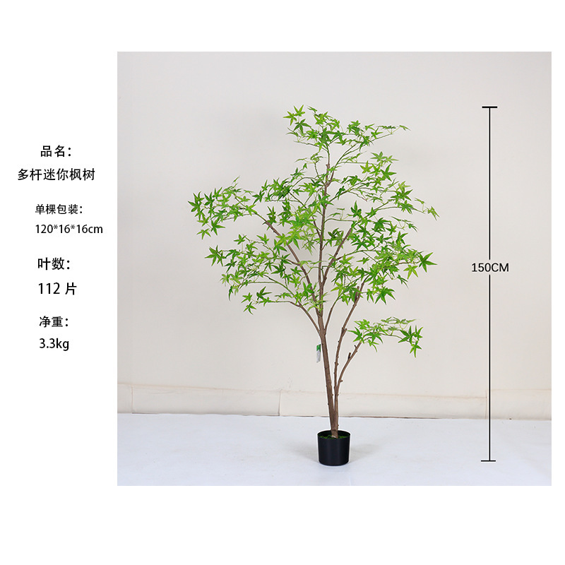 [Meilleure Vente] Mini Arbre d'Érable Vert Multi-Tiges 150cm