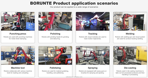 Robot Bronte para Paletización/Soldadura/Manipulación de Máquinas, con PLC, Accionamiento Eléctrico, Clasificación IP67, Herramienta Flexible de 2 Mandíbulas - Product Image 6