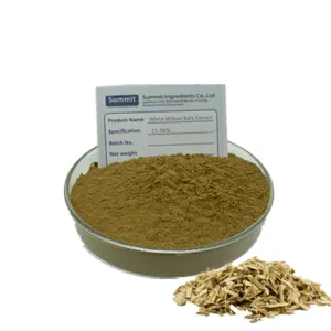 Quality Wholesale White Willow Tree Bark Extract Powder 20% Salicin Powder White Willow Bark Extract