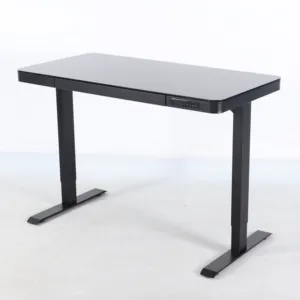 electric ergonomic executive stand up office laptop adjustable intelligent standing electronic desk