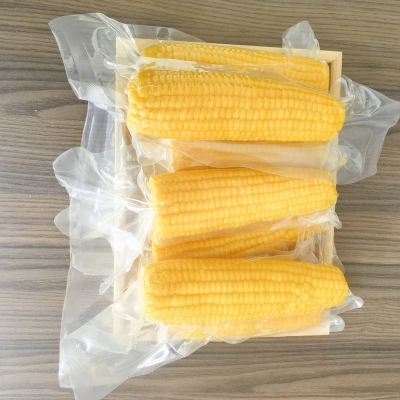 High Quality Fresh Vacuum Packed Corn