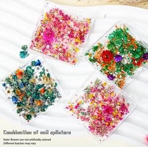 Flores Secas Prensadas Naturales para Decoración de Uñas, Manualidades - Product Image 2