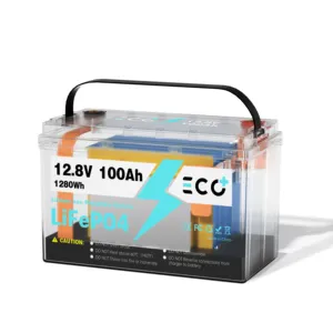Accumulatore di energia solare Lifepo4 batteria di accumulo di energia 100 Ah 12V batterie agli ioni di litio per sistema solare