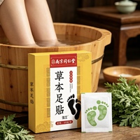 Patchs Naturels aux Herbes d'Armoise pour les Pieds – Coussinets Relaxants pour la Plante des Pieds – Utilisation au Bureau – Bien-être Quotidien des Pieds – Vente en Gros