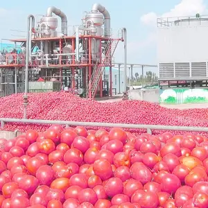 Pomodoro macchina di elaborazione della macchina di linea di produzione di pasta di Pomodoro concentrateur de tomate