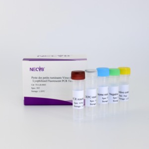 Kit <span class=keywords><strong>de</strong></span> detección <span class=keywords><strong>de</strong></span> ácido nucleico PPRV (RT-qPCR liofilizado, 50T/Kit)-para diagnóstico veterinario - Product Image 6