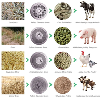 Machine à granulés d'aliments pour animaux de ferme avicole, machine à granulés pour volailles, bétail, porcs, presse à granulés, pelletiseur, fabrication de granulés diesel
