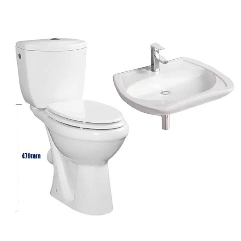 Bathroom Lavabo De Sa ll De Bain Toilette Pour Handicape Disabled Toilet Basin For Old People