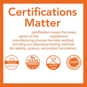 Nuovo arrivo enzimi integratore di capsule di 180 sostenere la digestione sana integratore per adulti enzimi capsule - Product Image 5