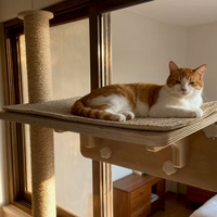 Hamac mural suspendu pour chat en bois massif, pour fenêtre ou baie vitrée, avec ventouses, plateforme d'escalade pour chat, arbre à chat en carton