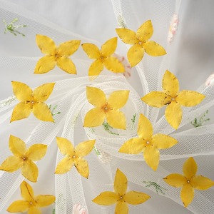 Ixora, fiore essiccato in rilievo, vera foglia pianta esemplare segnalibro, petalo trucco lampada da tavolo in rilievo - Product Image 4