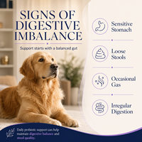 Friandises à mâcher molles probiotiques pour la santé intestinale des chiens, étiquette personnalisée, avec huile de citrouille et de saumon, inuline pour l'équilibre digestif