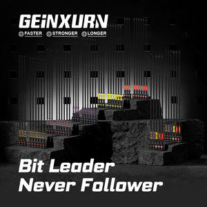 PH2 PZ2 T20 T25 6 יחידות ביטים מותאמים אישית ארוכים 300 מ\\\"מ למברג, פלדת <span class=keywords><strong>S2</strong></span>, קצוות מגנטיים, עמידים וקומפקטיים, ישירות מהמפעל, סיטונאי - Product Image 4