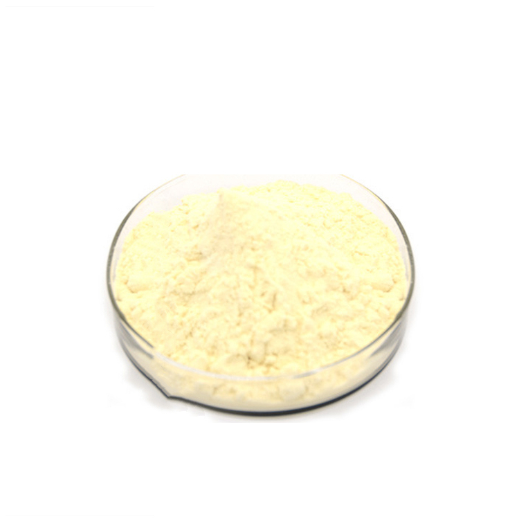 Factory Supply Chymosin Enzyme Rennet Cas