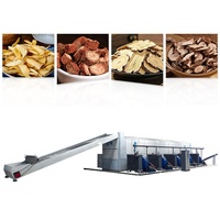 Séchoirs à fruits industriels fabriqués en Chine séchoir à grains Machine séchoir à légumes à vapeur bananes/mangues/et raisins