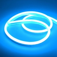 Tube de lampe led néon étanche avec Gel de silice, lampe Flexible, 12V