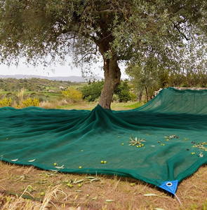 Red para Recolección de Aceitunas, 80 g/m², 4 m x 5 m, Resistente, para Cosecha de Aceitunas Pequeñas - Product Image 1
