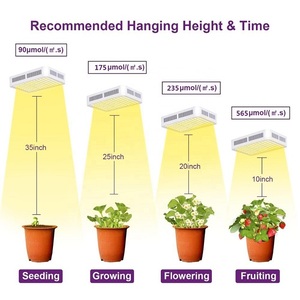 Venta caliente 300W 600W Hidroponía natural Espectro completo UV IR LED Grow Light para verduras. Semillas Boom Invernadero Granja Vertical para Bloom - Product Image 2