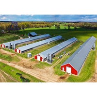 Conception architecturale de structure en acier pour la construction d'un poulailler pour 1000 poulets