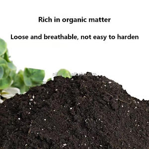 <span class=keywords><strong>Terreau</strong></span> nutritif organique brun pour plantes succulentes, tourbe fertilisante naturelle pour l'agriculture extérieure des légumes et des plantes - Product Image 4