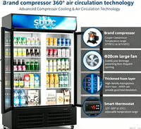 Congelador Vertical Comercial con Enfriamiento por Aire, Sin Escarcha, Pantalla Digital y Control de Temperatura