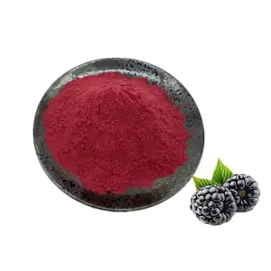 Factory Supply Blackberry Extract Powder Blackberry Extract Blackberry Powder