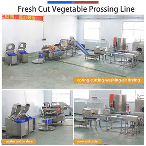 Máquina de corte, lavado y secado de verduras de 1-3 t/h para hojas verdes, repollo y ensalada, para cocina centralizada - Product Image 2