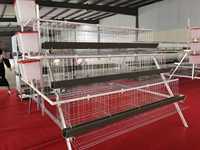 Nouvelle Cage Automatique pour Poules Pondeuses – Équipement Commercial d'Élevage en Acier Galvanisé avec Alimentation Automatique pour l'Industrie