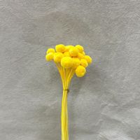 Fleurs de boutons teintées et préservées, violettes et colorées, fleurs de boutons séchées pour la décoration de bouquets de mariage