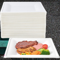 Assiettes carrées compostables en bagasse ECO, 150 pièces, 6'', 8'', 10'', jetables, écologiques, biodégradables pour fêtes, anniversaires, camping