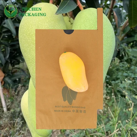 Mango Paper Bag Factory for Mango Paper Bag Exporter - Efficient & Global