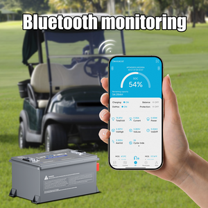 Batería de Litio para Carro de Golf de 72v 48v 36v para Baterías de Iones de Fosfato de Hierro de 51.2v 105ah 100ah 200ah 280ah 48 Voltios - Product Image 6