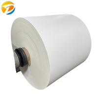 Rouleau de papier couché PE de qualité alimentaire, imperméable et écologique, fabriqué en Chine, pour gobelets jetables