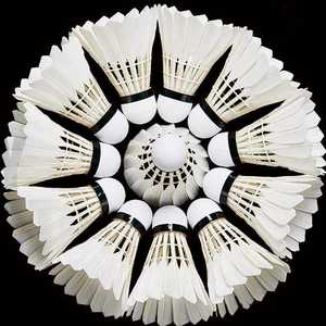 Volant de badminton hybride 3-en-1 stable et robuste en plumes d'oie pour les programmes d'entraînement exigeants - Product Image 2