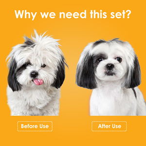Kit de toilettage pour animaux de compagnie 3 en 1, outils de toilettage pour animaux de compagnie, ensemble d'outils de démêlage pour chiens et chats - Product Image 6