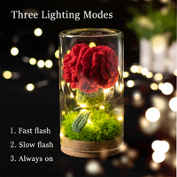 Lampe lumineuse oeillet en pot crochet fleur verre abat-jour fleur éternelle décoration de la maison Thanksgiving cadeau de fête des mères
