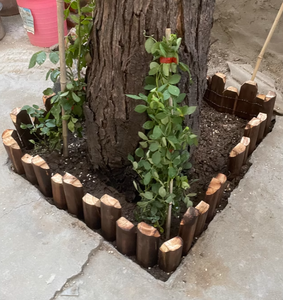 Clôture de piquet en bois anticorrosion pour cour balcon jardin <span class=keywords><strong>potager</strong></span> extérieur; Petites portes de treillis de fleurs de parcelle de légumes - Product Image 5