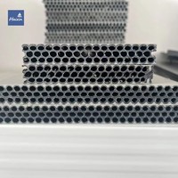 Coffrage modulaire standard en PP interchangeable : Économisez sur les coûts supplémentaires de panneaux
