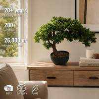 Arbre Bonsaï Artificiel OEM ODM, Plante Artificielle en Pot pour la Décoration de la Maison, du Bureau, de la Table, de la Table de Bureau, Végétation Miniature Réaliste, Cadeau
