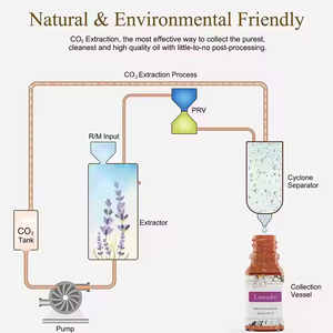 Aceite Esencial de Manzana Orgánico Natural al por Mayor, Aceite Aromático de Grado para Perfumes, Difusores, Jabones y Velas - Product Image 4