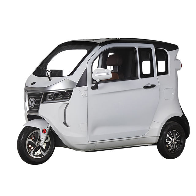 Trova le migliori triciclo adulti coperto Produttori e triciclo adulti  coperto per italian Speaker Mercato in alibaba.com