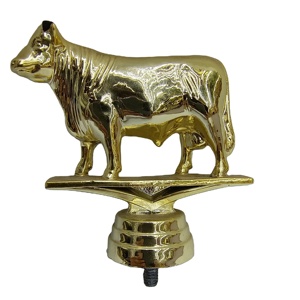 Figurine d'aigle en plastique personnalisée sur trophées pour cadeaux de bienvenue avec gravure - Product Image 6